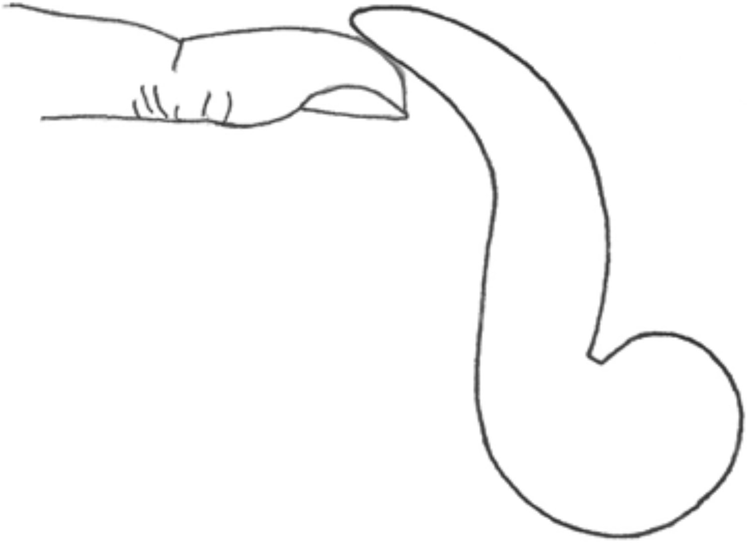 Belt-Hanger-2