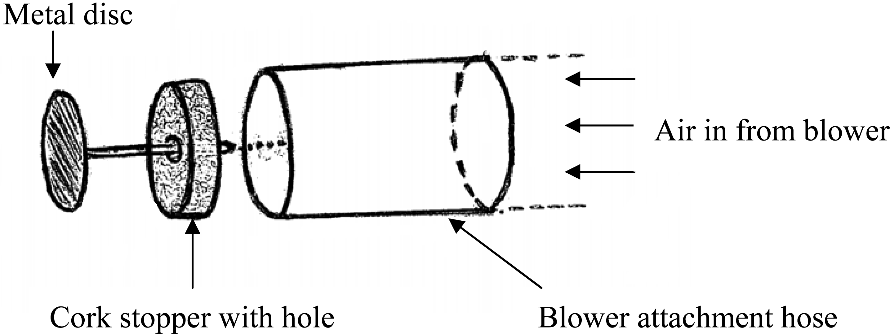 Bernoulli-2