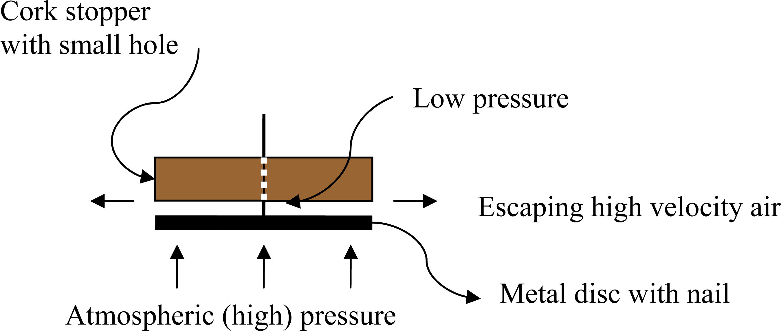 Bernoulli-3