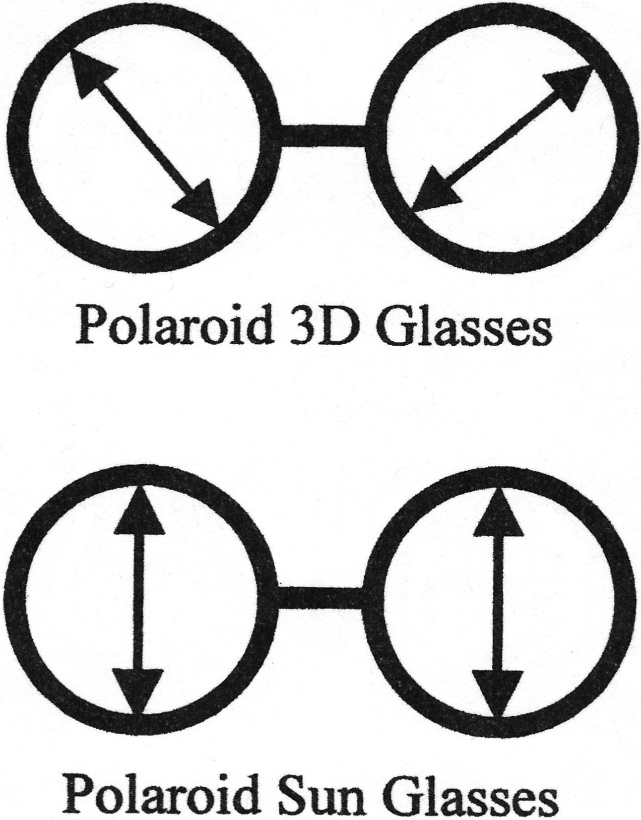 Polaroid-1